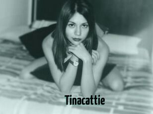 Tinacattie