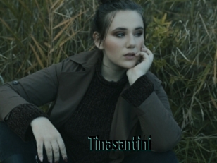 Tinasantini