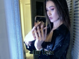 Tiny_taylor