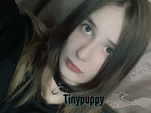 Tinypuppy