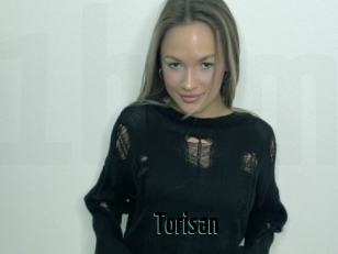 Torisan