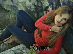 Torrymoor
