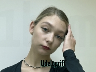 Udelegriff