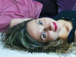 Uparadisebird