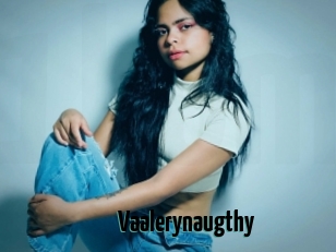 Vaalerynaugthy