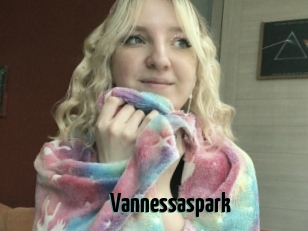 Vannessaspark