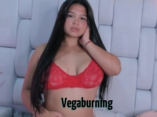 Vegaburning