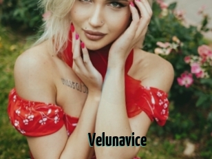 Velunavice