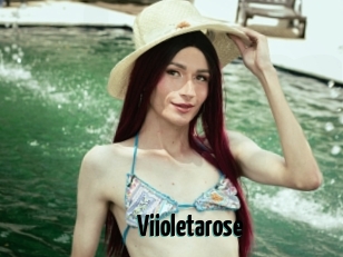 Viioletarose