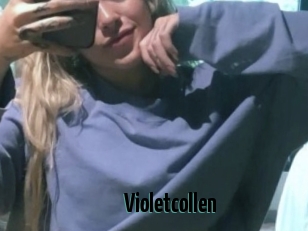 Violetcollen