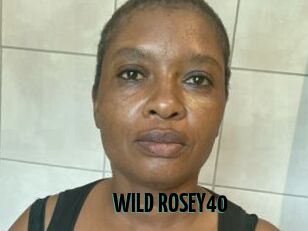 WILD_ROSEY40
