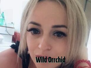 Wild_Orrchid