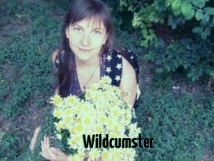 Wildcumster