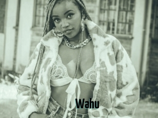 Wahu