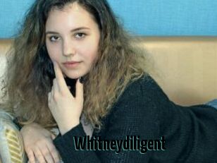 Whitneydiligent
