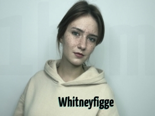 Whitneyfigge