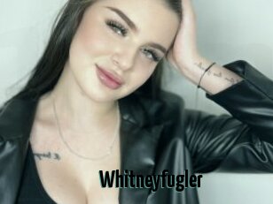 Whitneyfugler
