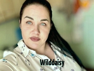 Wilddaisy