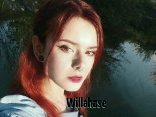 Willahase