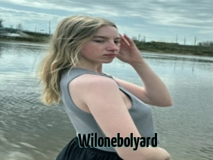 Wilonebolyard