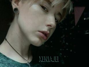 XENIA_JEI