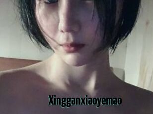 Xingganxiaoyemao