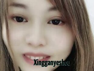 Xingganyeshou