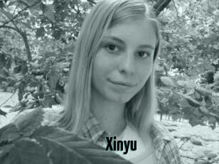 Xinyu