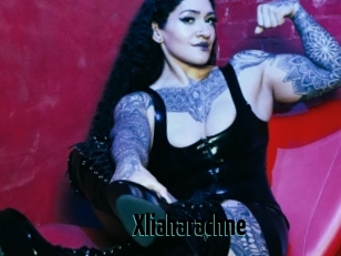 Xliaharachne