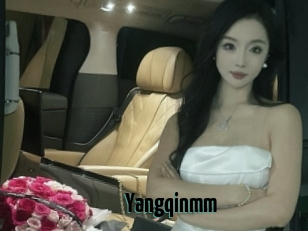 Yangqinmm