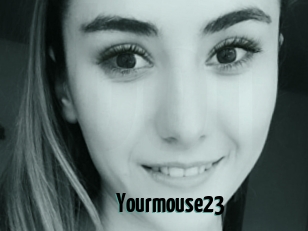 Yourmouse23