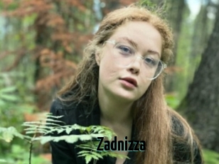 Zadnizza