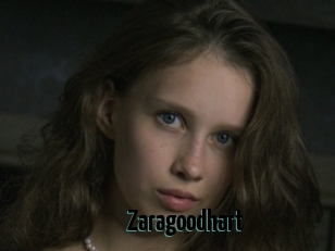 Zaragoodhart