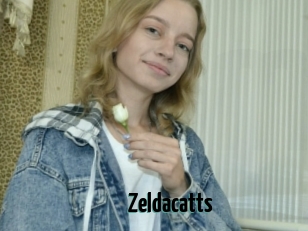 Zeldacatts