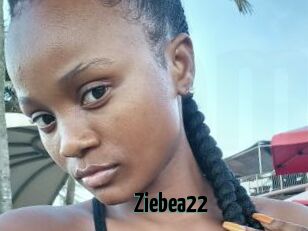 Ziebea22